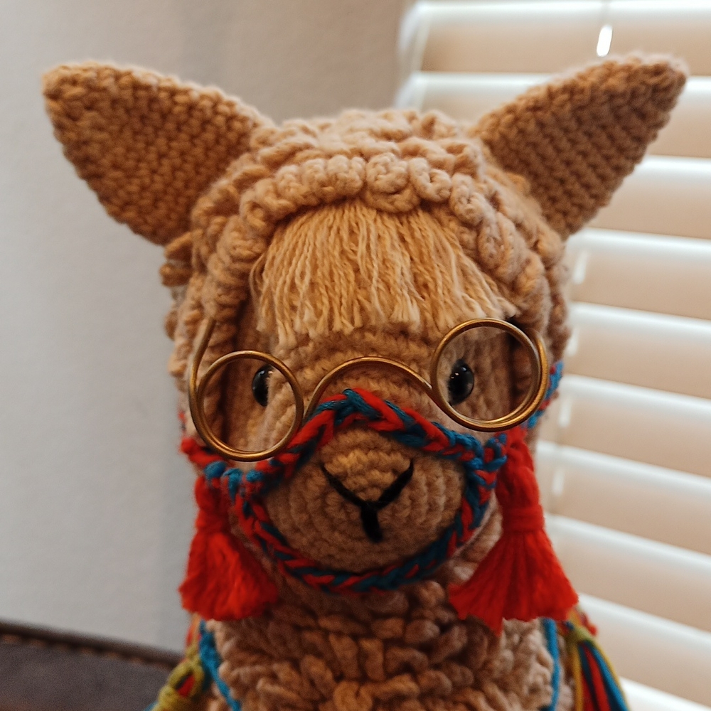 Pretty llama!! - Picture 3 of 4